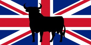 english_spanish_cow